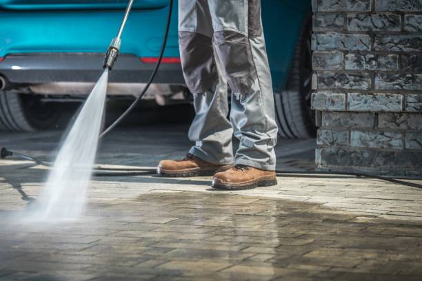 Best Fleet Vehicle Washing  in Livingston, TX