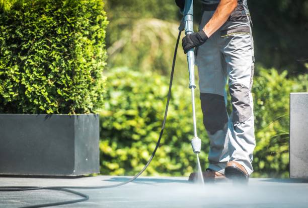 Best Dumpster Area Cleaning  in Livingston, TX