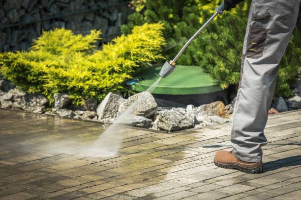 Best House Exterior Washing  in Livingston, TX